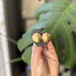 “Augusta” Stud Earrings (Smedium)
