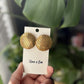 “Augusta” Stud Earrings